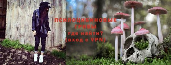a pvp Верхний Тагил