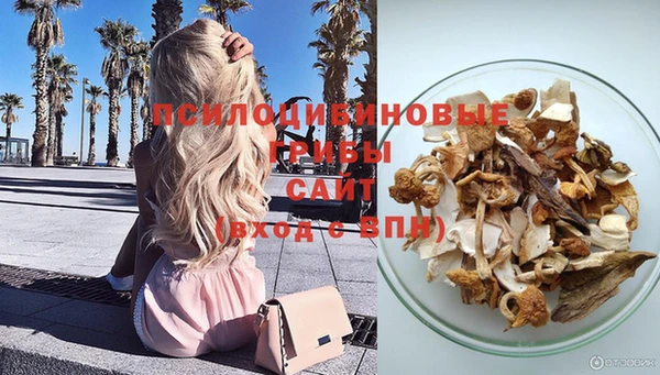 ГАЛЛЮЦИНОГЕННЫЕ ГРИБЫ Бугульма