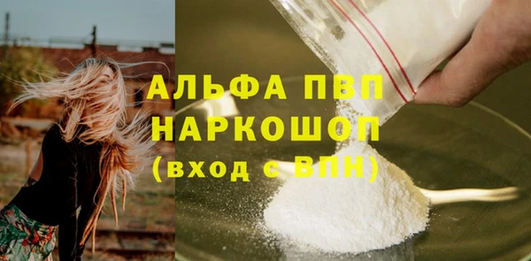 PSILOCYBIN Снежногорск